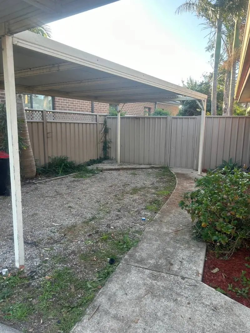 Backyard Cleanup - After